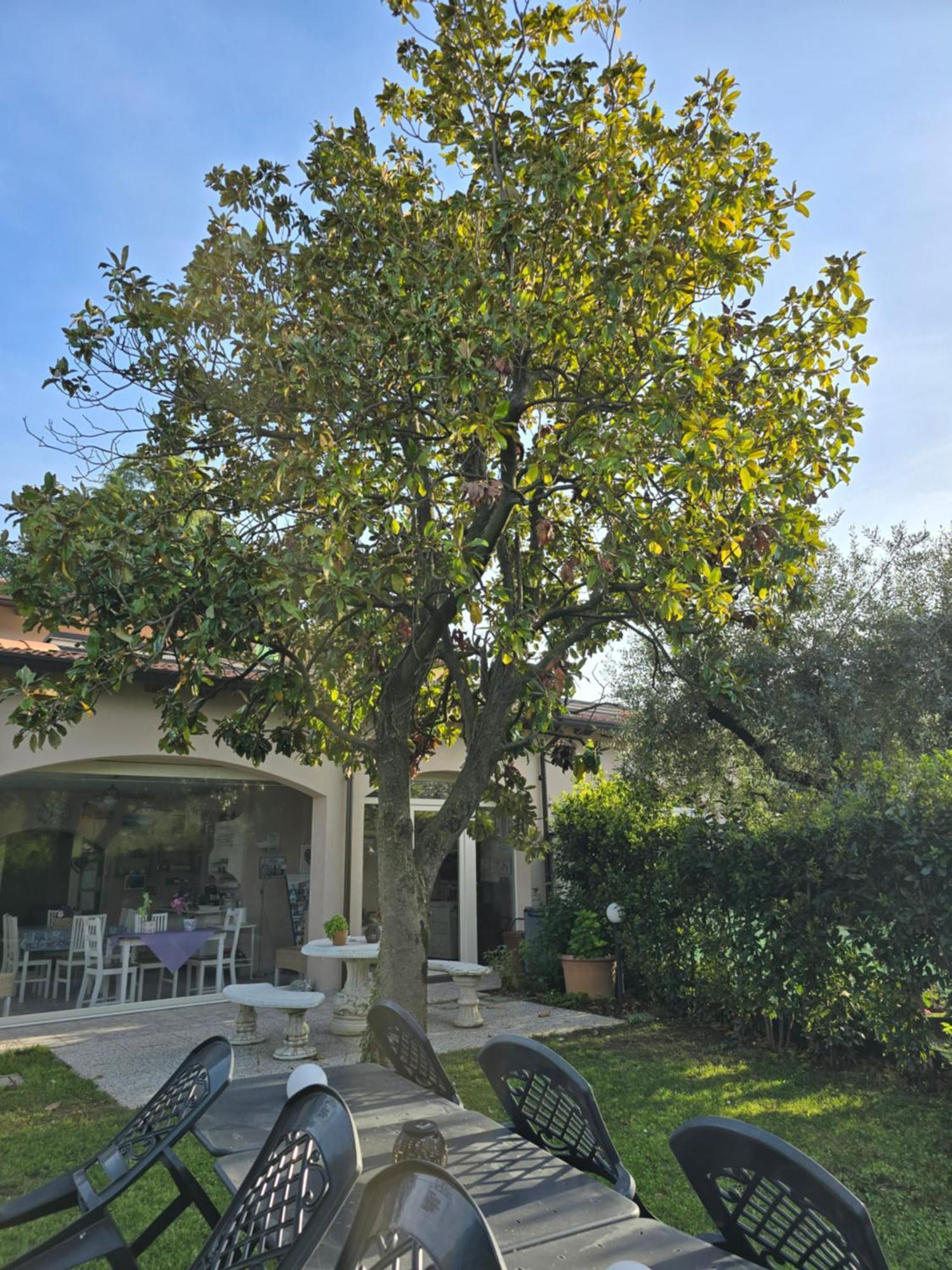 Villa Indipendente A Pochi Passi Dal Lago San Felice del Benaco Dış mekan fotoğraf